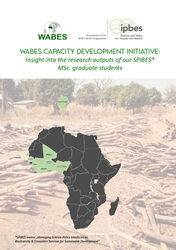 Wabes Capacity Devolpment Initiative